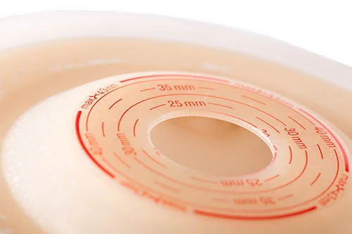 Un plato con un objeto circular