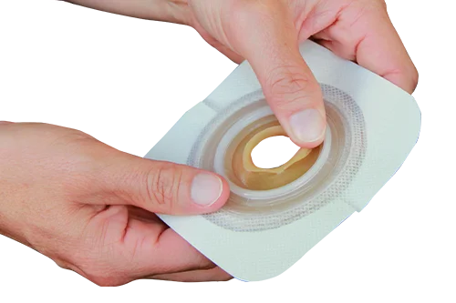 uma pessoa segurando um rolo de papel higiênico