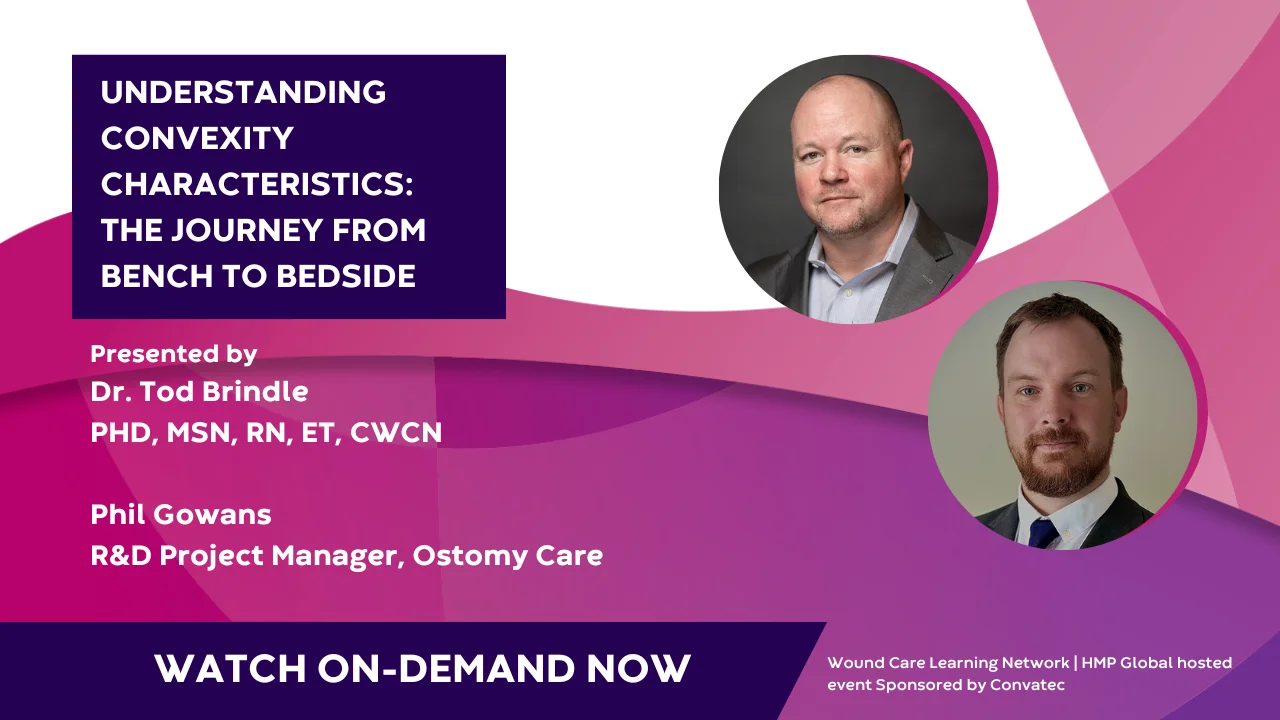 Snímka obrazovky s prezentujúcim Todom Brindlem zobrazujúcim ciele webinára.